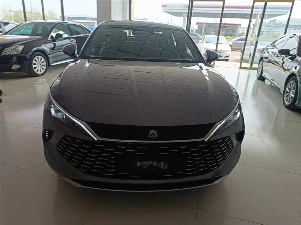 Qin L DM-i 120 KM Transcend