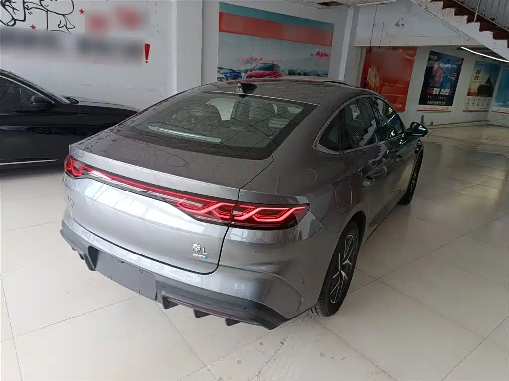 Qin L DM-i 120 KM Transcend