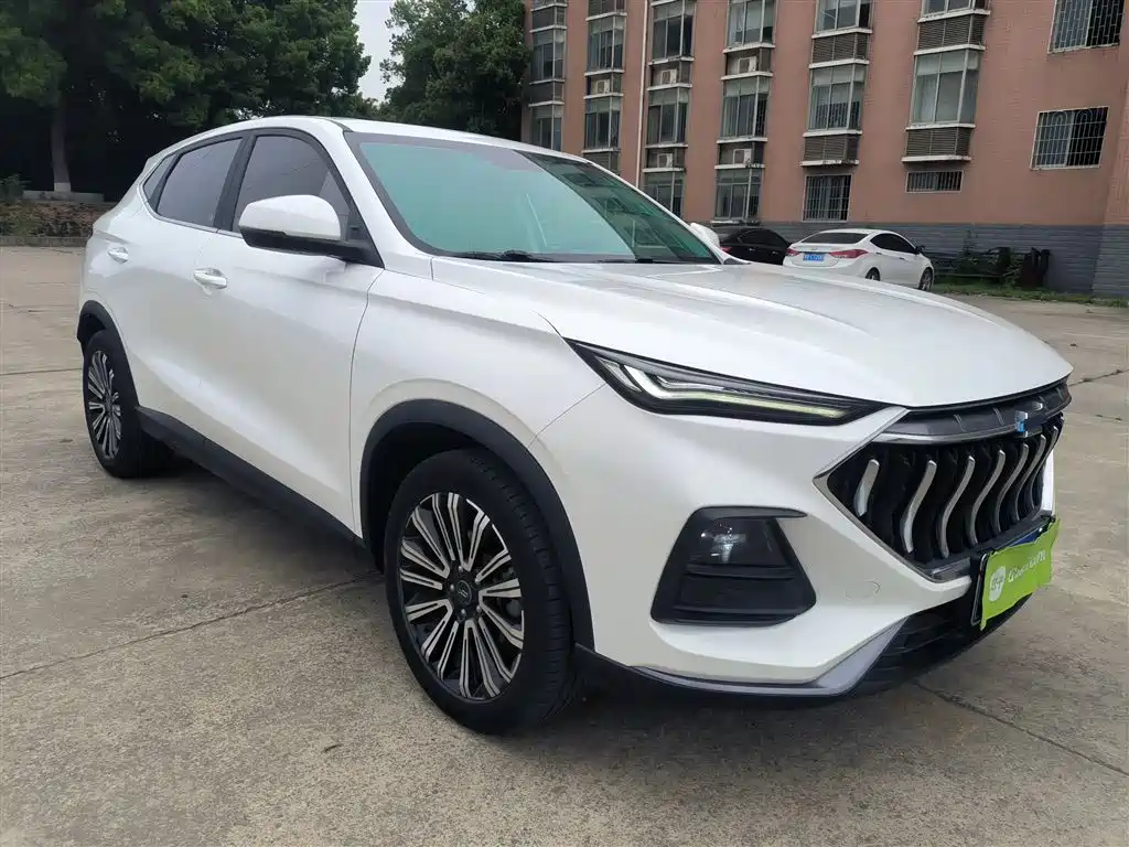 Changan Oshan X5 1.5 T DCT Distinguished