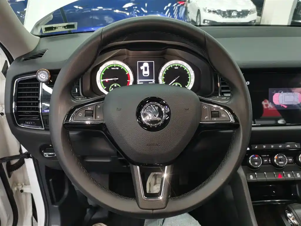 Kodiaq TSI330 5-seat 2 WD Luxury Enjoyment