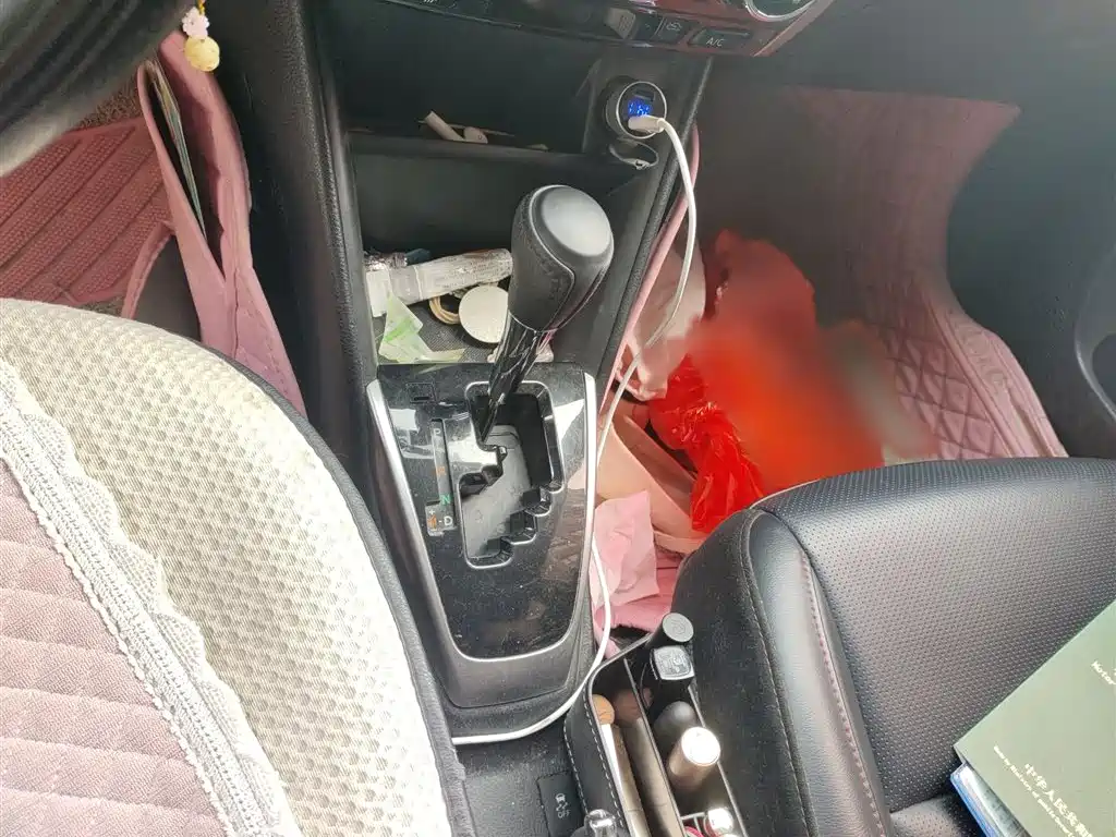 YARiS L Zhixuan Zhixuan X 1.5 L CVT Luxury
