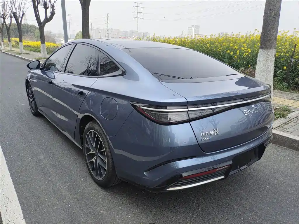Seal DM-i 1.5 L 121 km Luxury