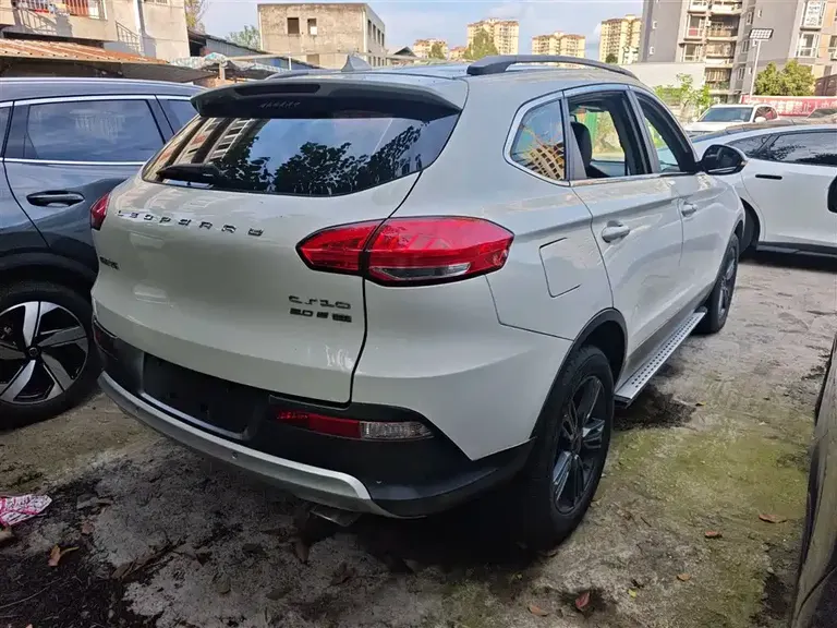 Leopaard CS10 2.0 T Auto Urban