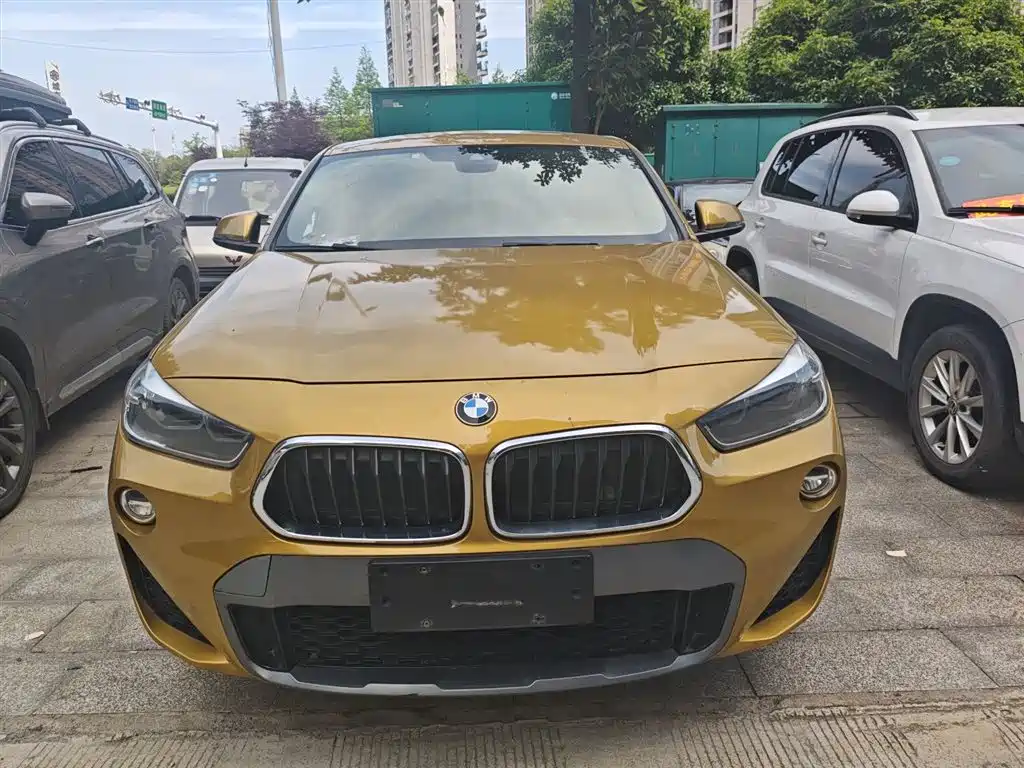 BMW X2 (Import) 宝马X2进口 2018款 sDrive25 i 尊享型M越野套装 国V