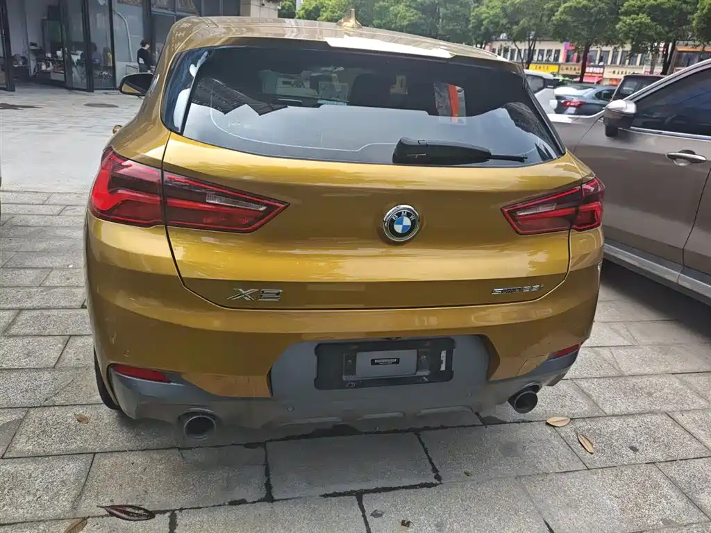 BMW X2 (Import) 宝马X2进口 2018款 sDrive25 i 尊享型M越野套装 国V