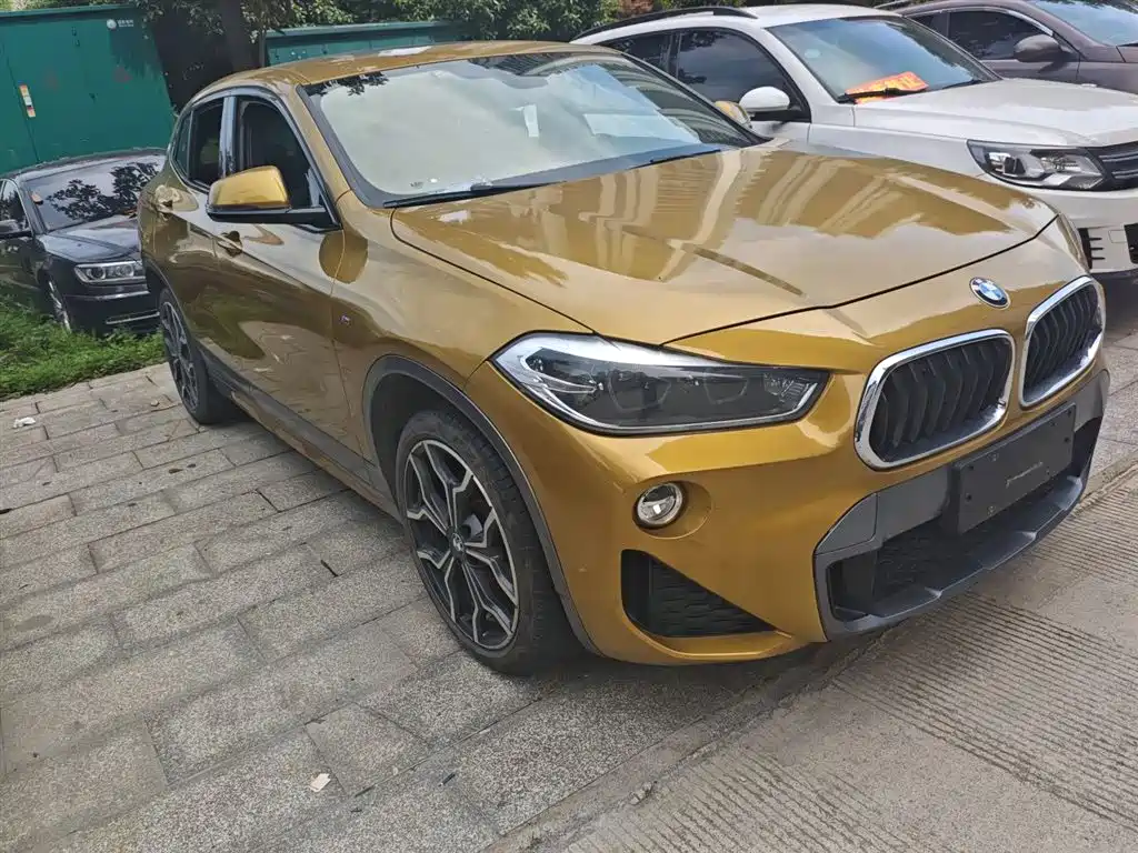 BMW X2 (Import) 宝马X2进口 2018款 sDrive25 i 尊享型M越野套装 国V