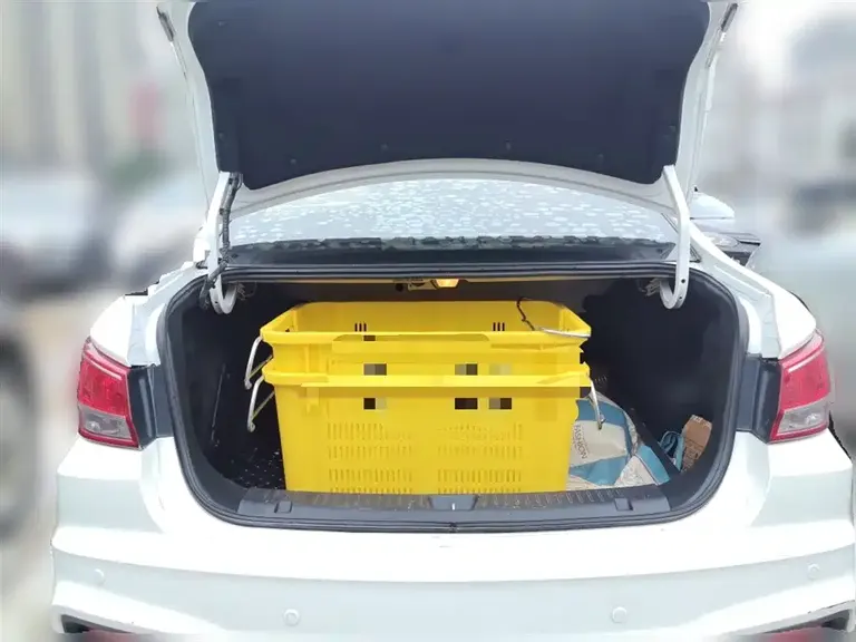 Haima Family 1.6 L Auto Luxury