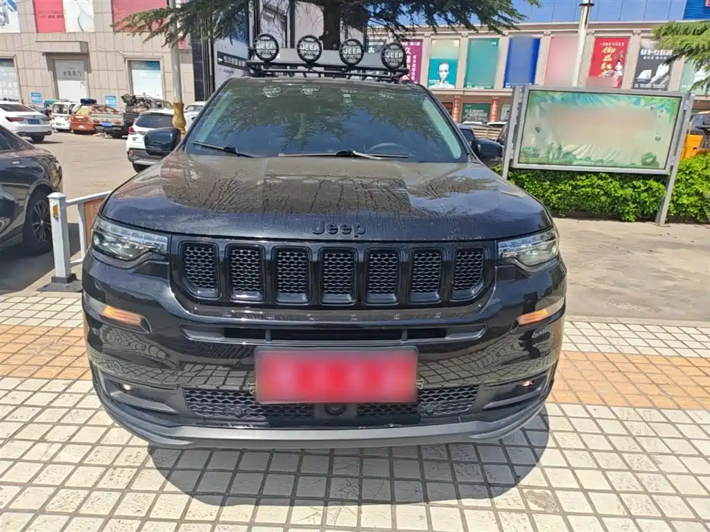 Grand Commander 2.0 T 4 WD