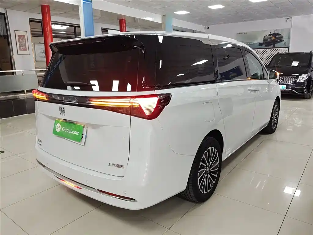 Buick GL8 NEV 别克GL8新能源 2025款 陆尚 先享版