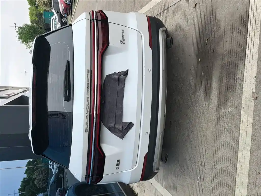 Song Pro 1.5 T Auto Luxury