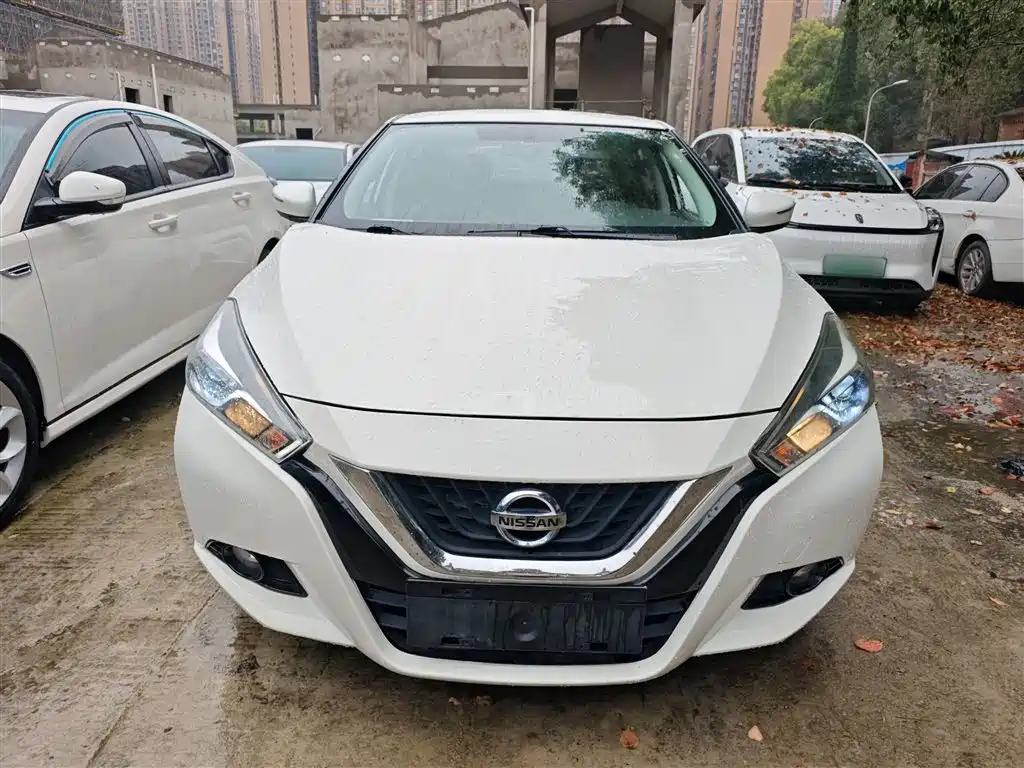 Lannia 蓝鸟 2019款 1.6 L 手动炫酷版 国VI