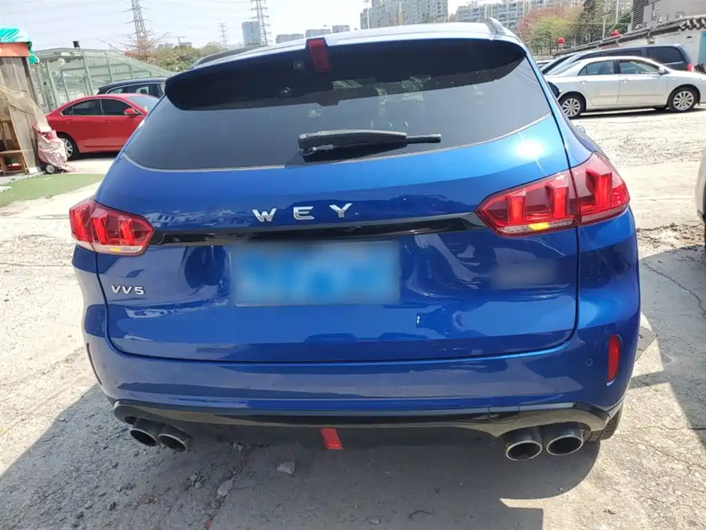 WEY VV5 2.0 T Super Luxury