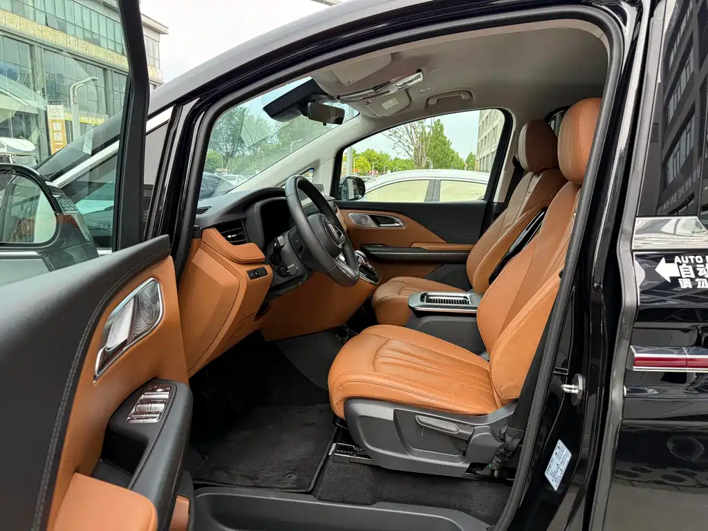 Hongqi HQ9 2.0 T Connected Flagship Joy