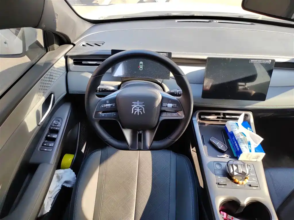 Qin PLUS DM-i Smart Drive 55 KM Leading