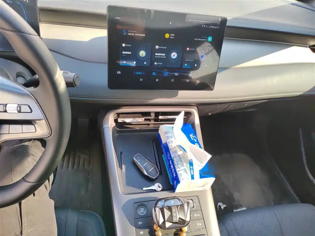 Qin PLUS DM-i Smart Drive 55 KM Leading