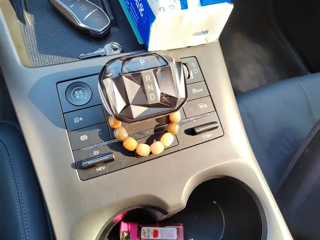 Qin PLUS DM-i Smart Drive 55 KM Leading