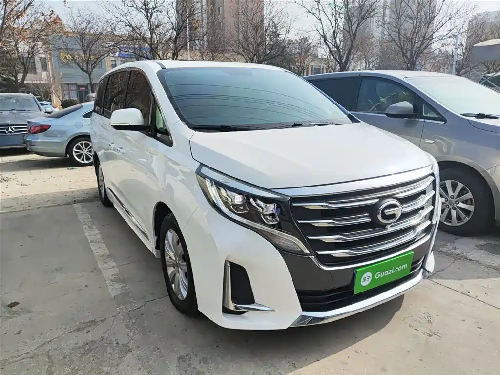 GAC Trumpchi M8 Navigator 390 T Premium