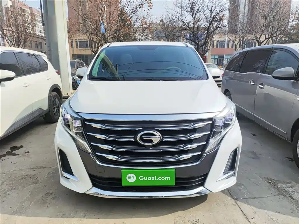 GAC Trumpchi M8 Navigator 390 T Premium