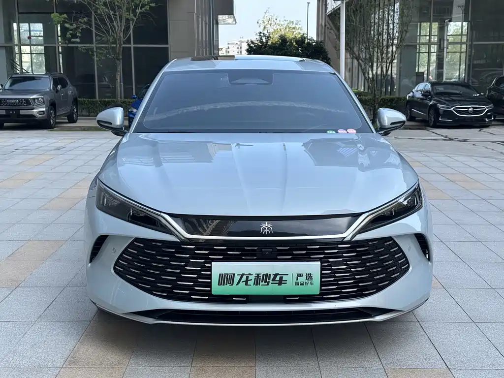 Qin L DM-i Smart Drive 80 KM Transcend
