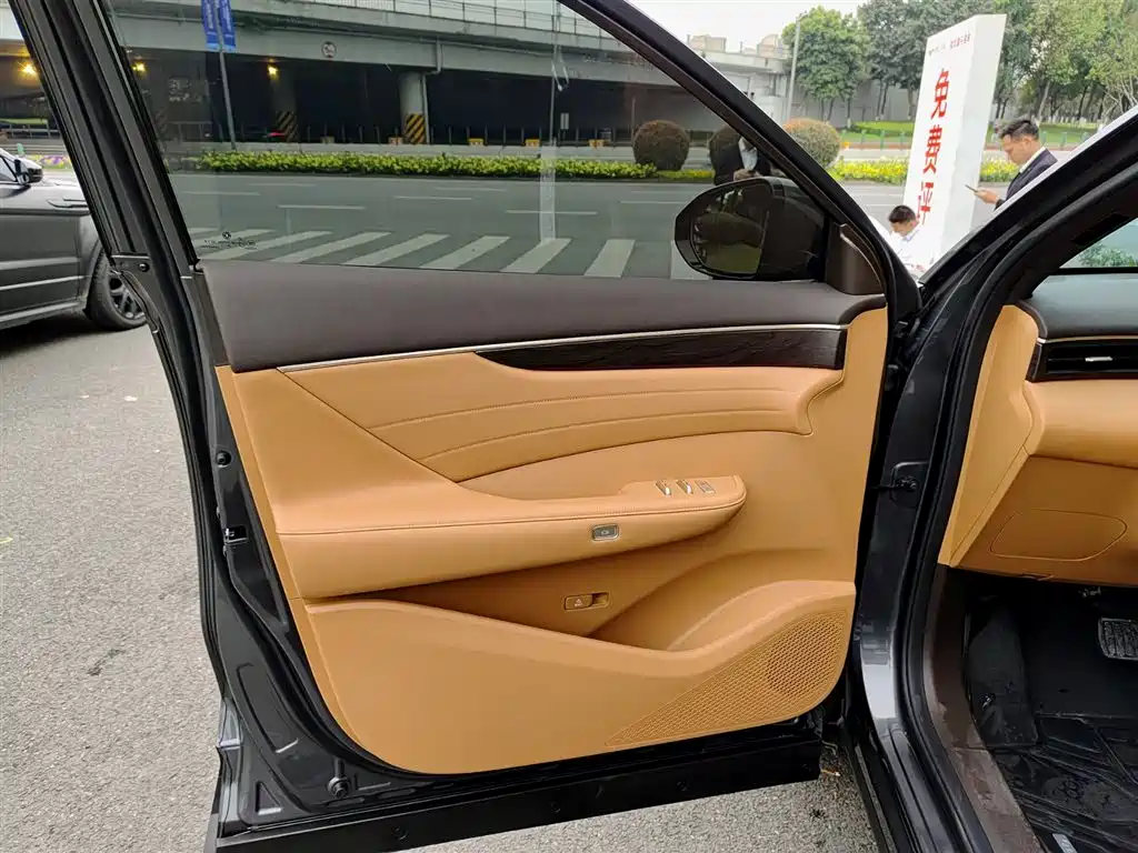 Dongfeng Fengshen L8 185 KM Dream