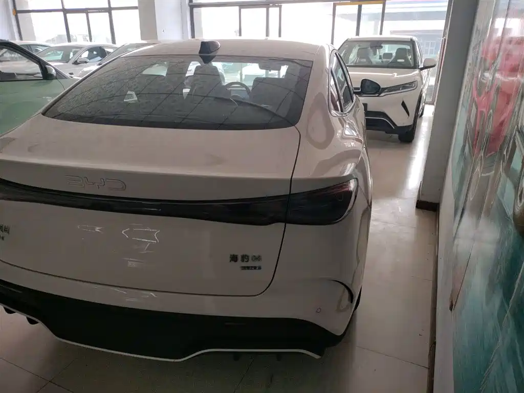 Seal 06 DM-i Smart Drive 80 KM Luxury