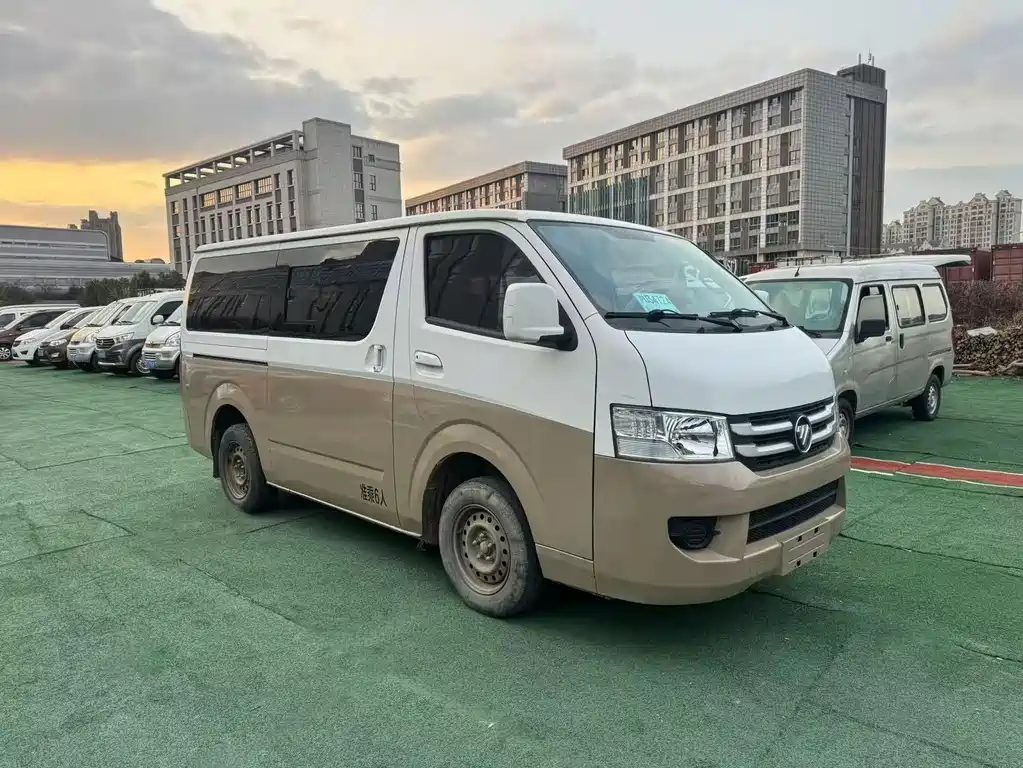 Fengjing G7 2.0 L Commercial SWB Flat Roof 4 Q20 M