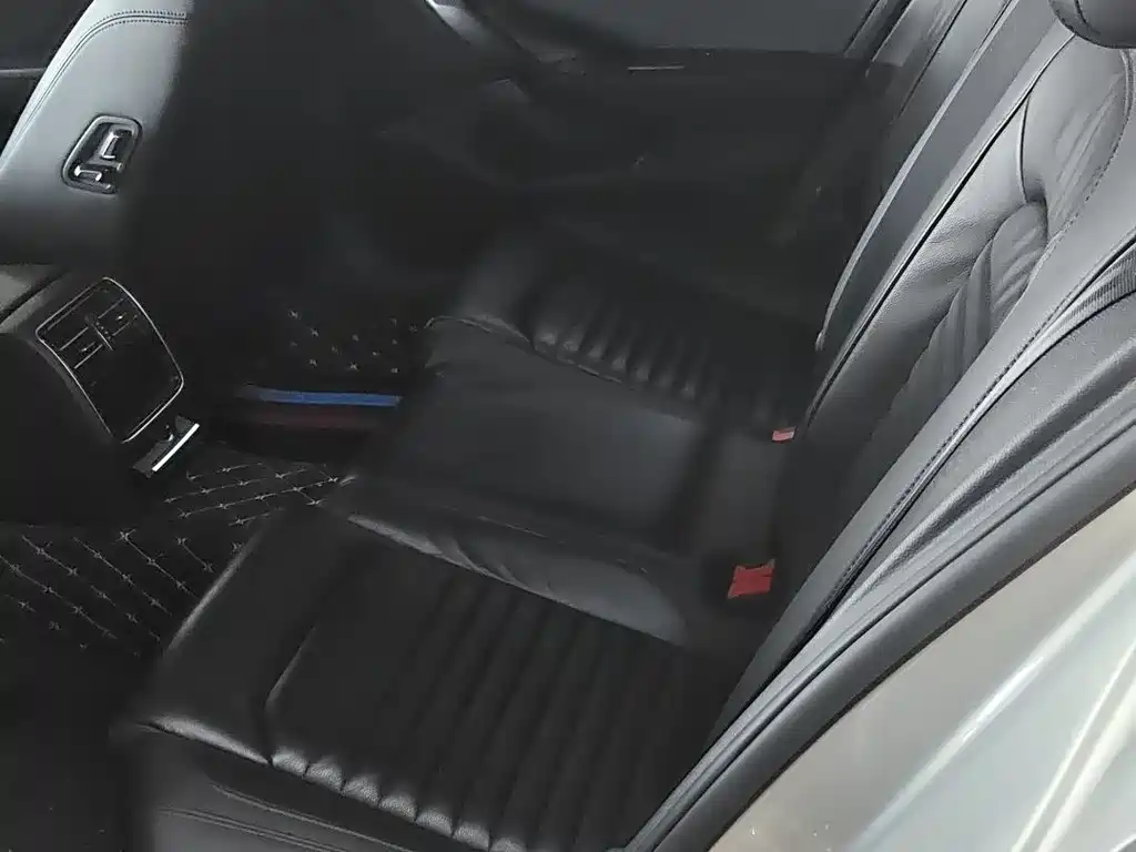 Magotan 330 TSI DSG Leading