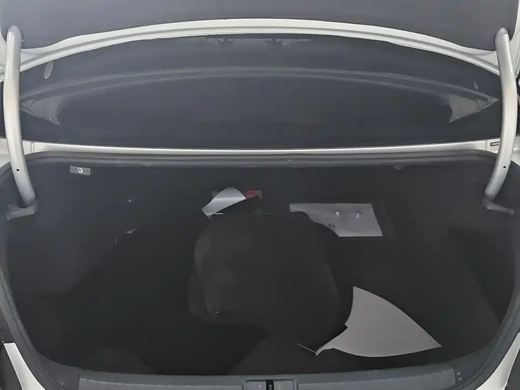 Magotan 330 TSI DSG Leading