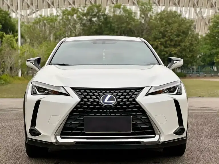 Lexus UX 雷克萨斯UX 2019款 260 h 探·酷版 国V