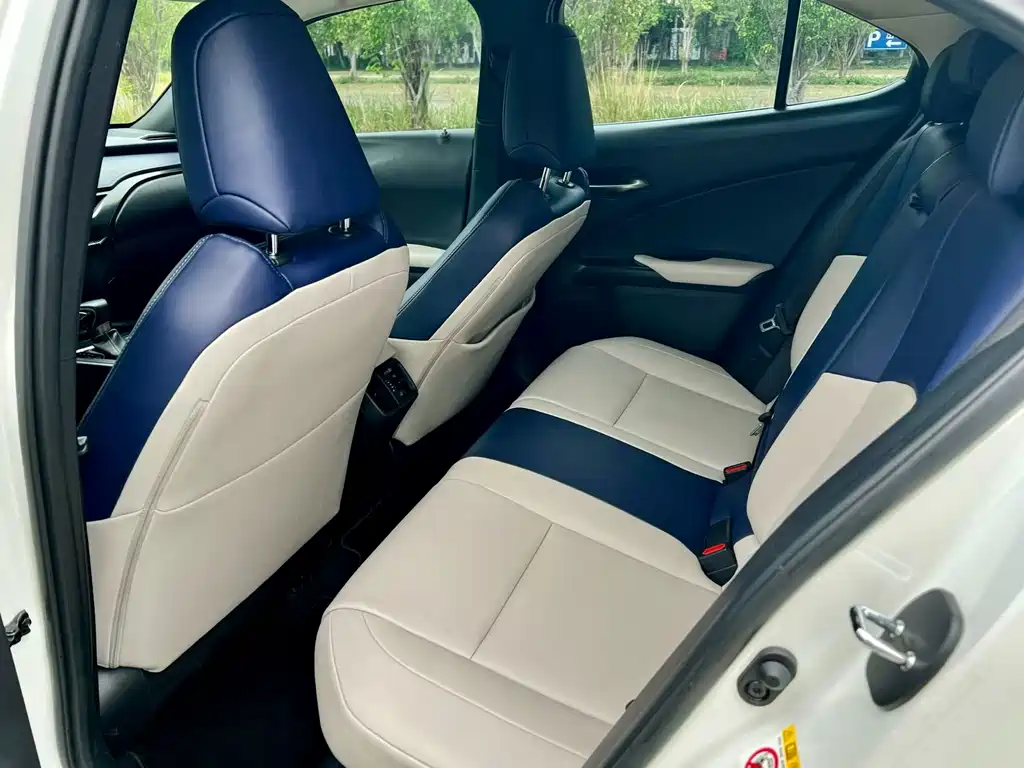 Lexus UX 雷克萨斯UX 2019款 260 h 探·酷版 国V