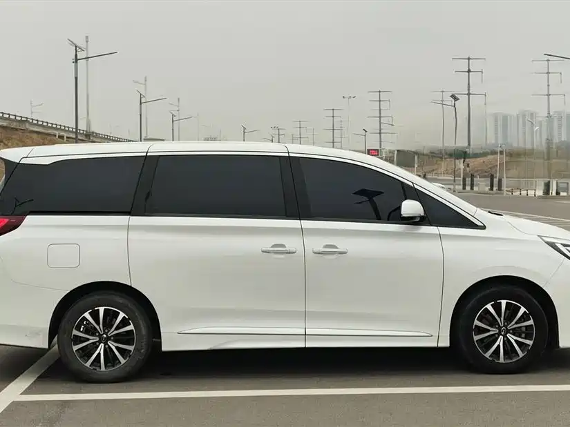 GAC Trumpchi M8 Leading Show Series 390 T Luxury