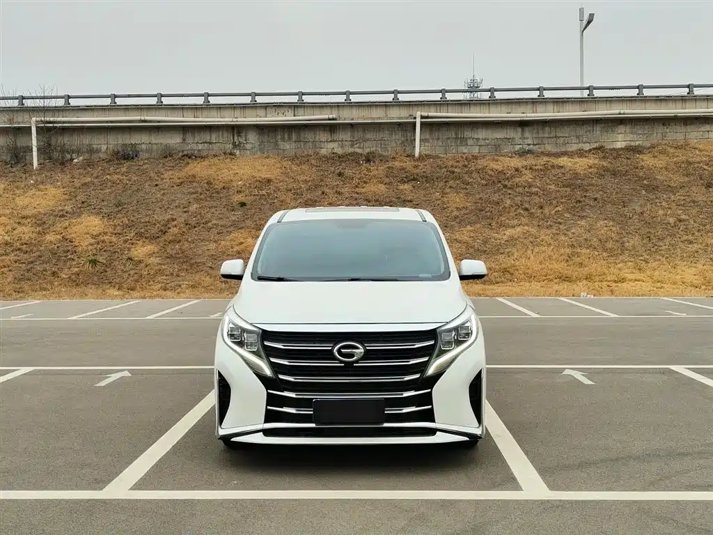 GAC Trumpchi M8 Leading Show Series 390 T Luxury