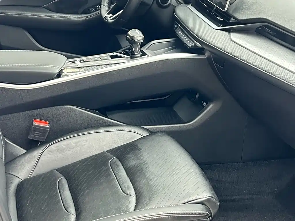 Xingrui 2.0 TD Luxury