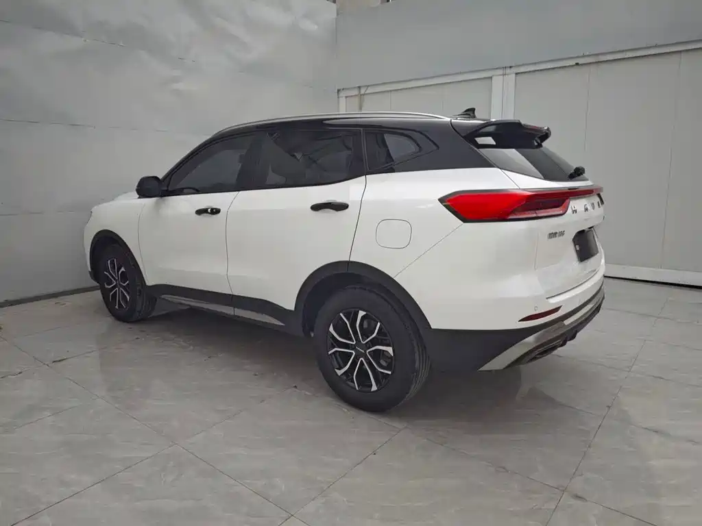 Haval H6 China Style 1.5 T Auto Urban