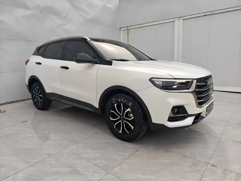 Haval H6 China Style 1.5 T Auto Urban
