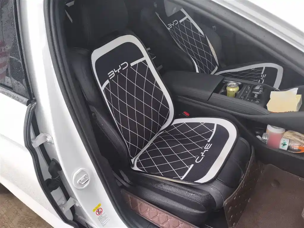 Qin L DM-i 80 KM Transcend