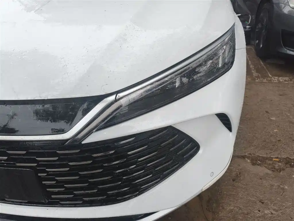 Qin L DM-i 80 KM Transcend