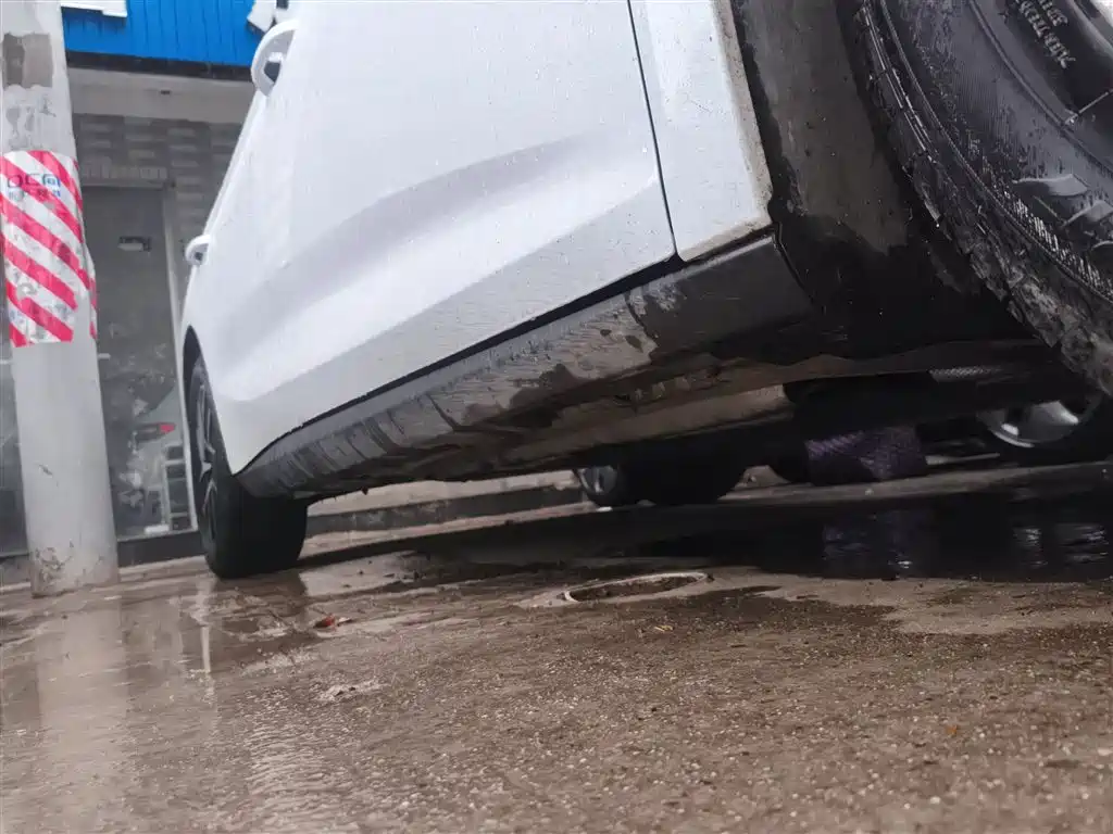 Qin L DM-i 80 KM Transcend