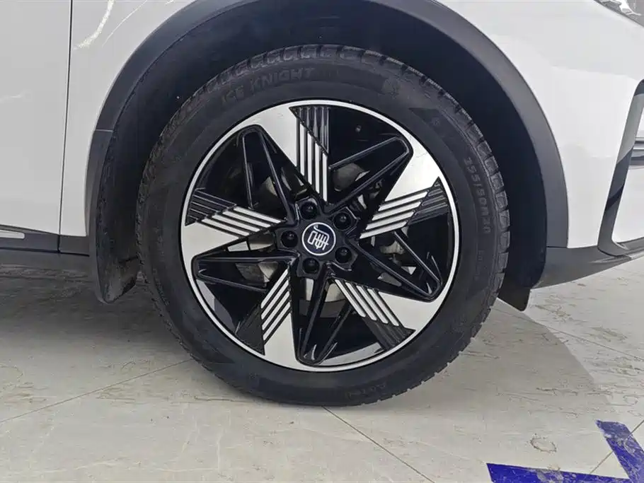 Tang NEV DM-i Champion 112 KM Premium