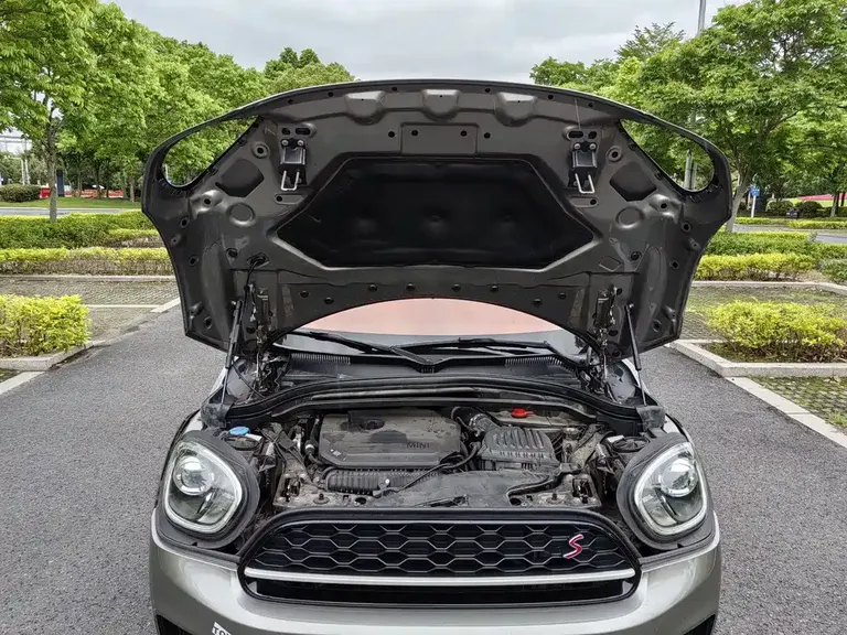 MINI COUNTRYMAN 2.0 T COOPER S ALL4 Artist