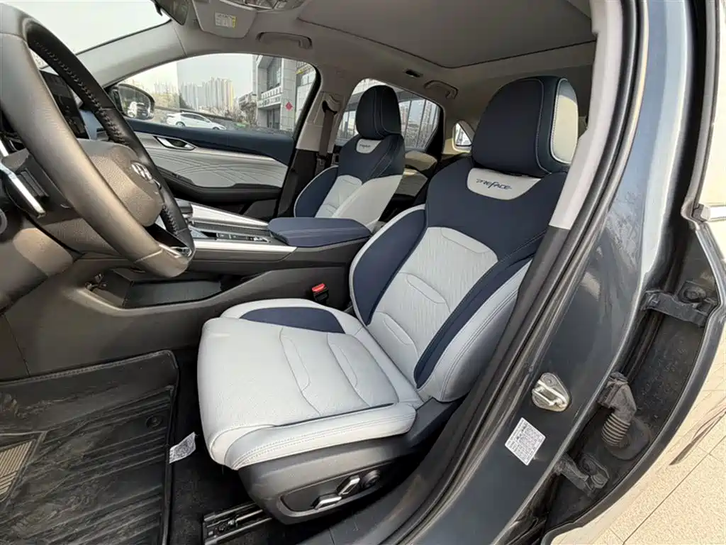 Xingrui Facelift 2.0 TD Distinguished