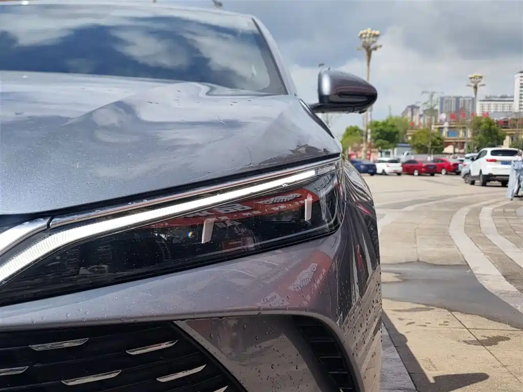 Qin L DM-i 80 KM Transcend