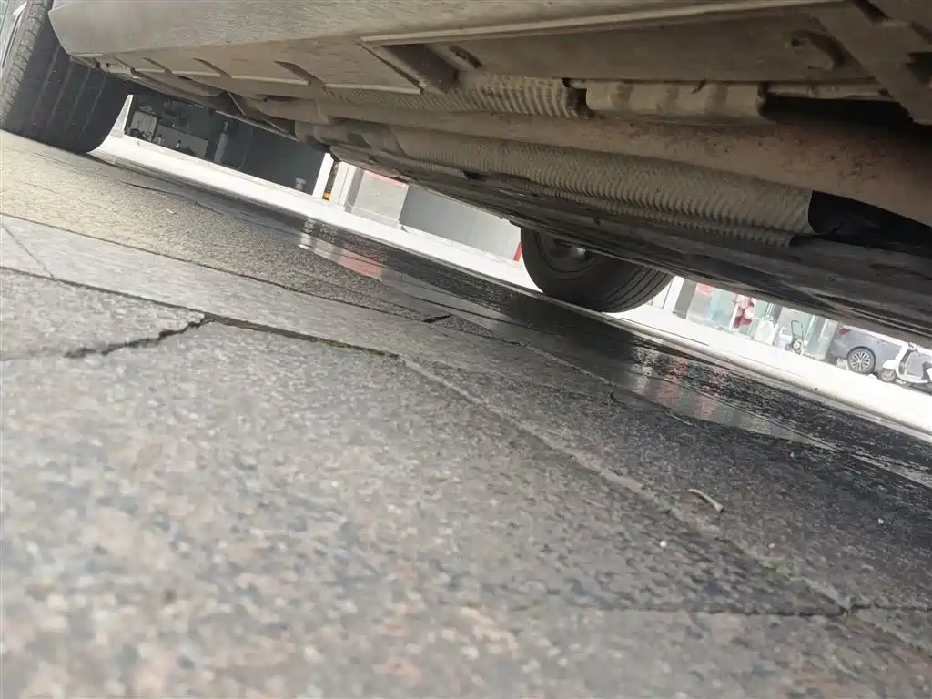 Qin L DM-i 80 KM Transcend