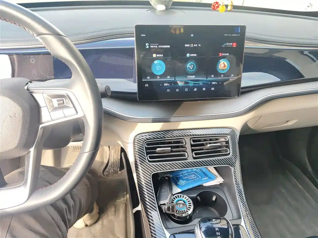 Qin PLUS DM-i 55 KM Flagship