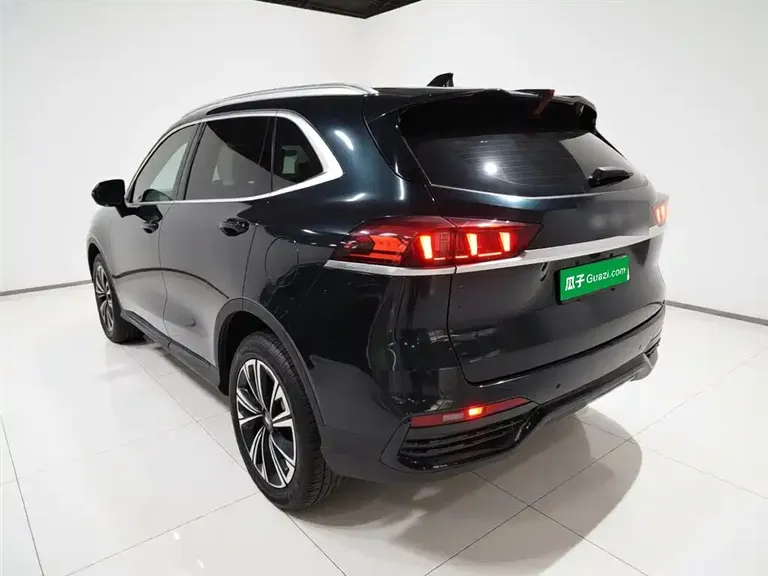 WEY Latte DHT 魏牌 拿铁DHT 2022款 1.5 T DHT中杯
