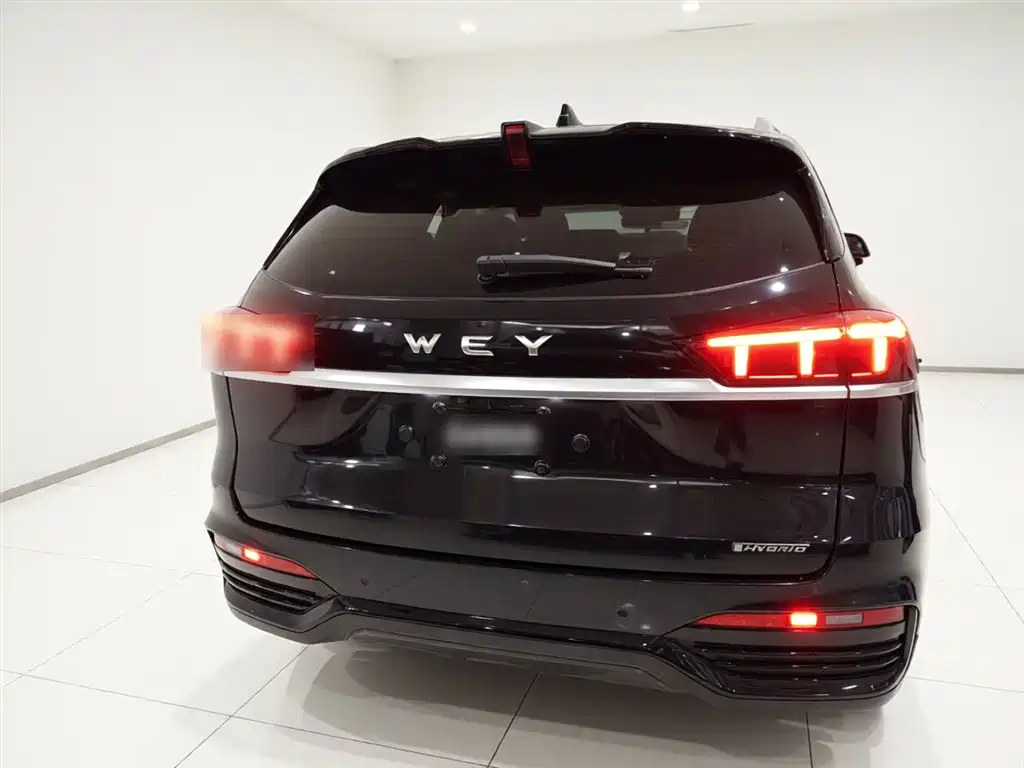 WEY Latte DHT 魏牌 拿铁DHT 2022款 1.5 T DHT中杯