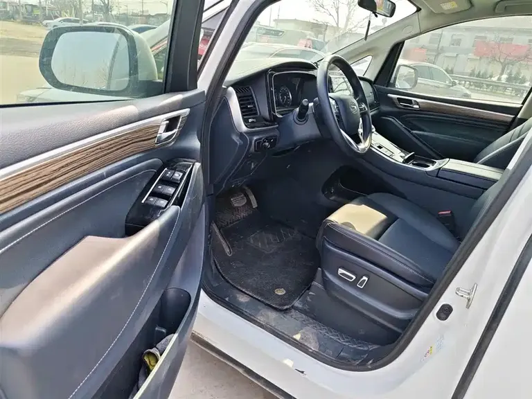GAC Trumpchi M8 Leading Show Series 390 T Luxury