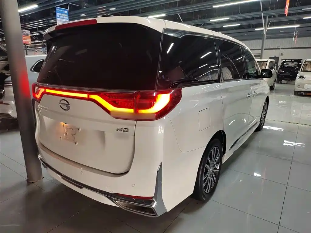 GAC Trumpchi M8 Leading Show Series 390 T Supreme