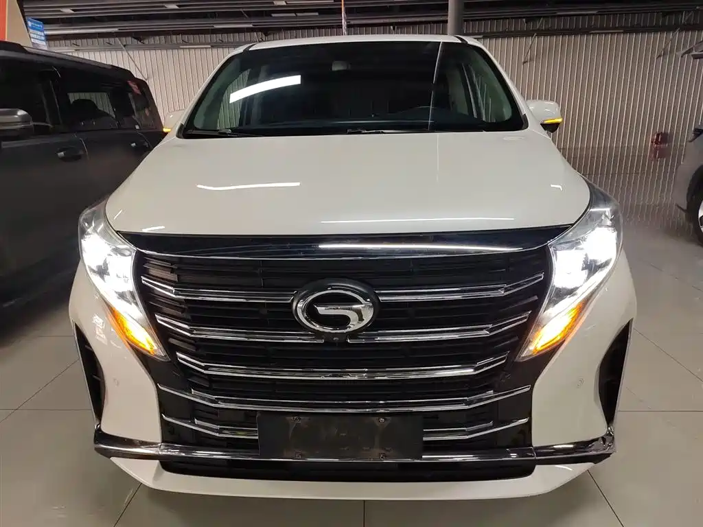 GAC Trumpchi M8 Leading Show Series 390 T Supreme