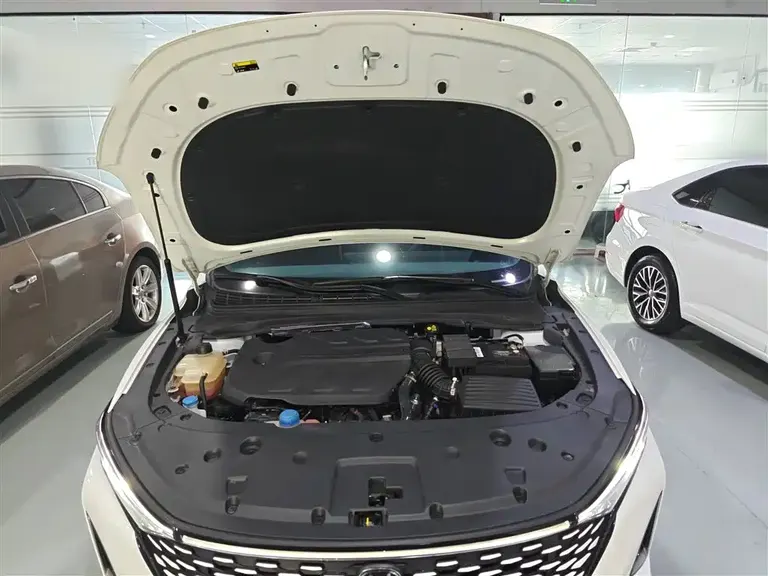 Changan Ruicheng PLUS 1.5 T DCT Distinguished